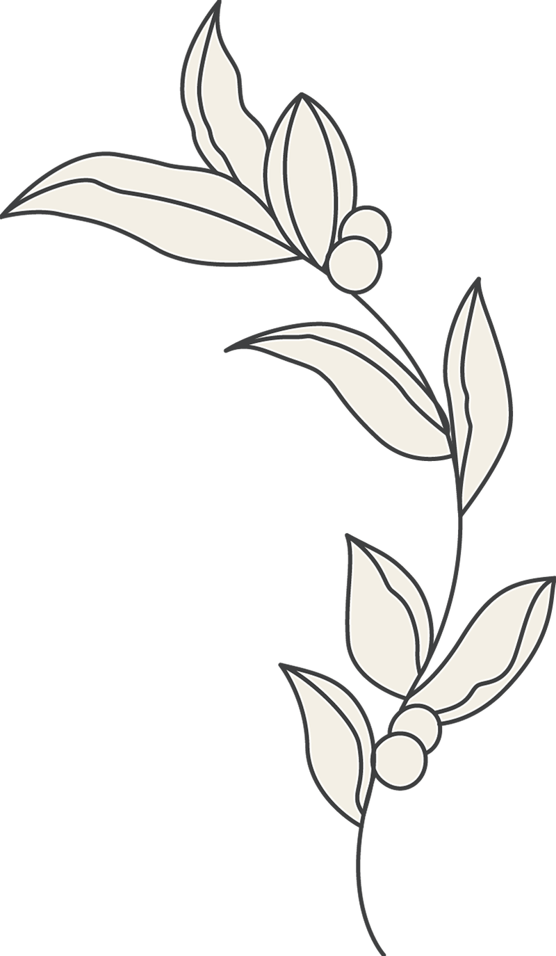 Laser Hair Removal Johannesburg Hair Removal Skin Treatments Anti